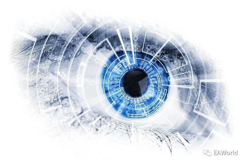 技術(shù)中臺建設(shè)方法與關(guān)鍵設(shè)計 聚焦人工智能基礎(chǔ)軟件開發(fā)