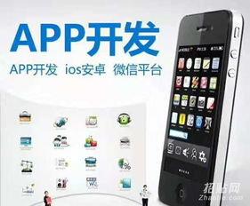 浙江軟件開發(fā)杭州app開發(fā)寧波小程序開發(fā)